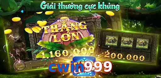 cwin999